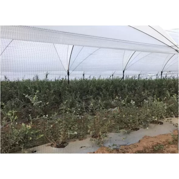Guacamallas® 4.3m By 1500m Bird Netting Fob Hollister