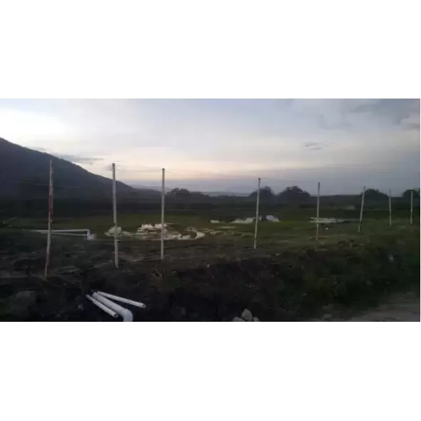 Guacamallas® 4.3m By 1500m Bird Netting Fob Hollister