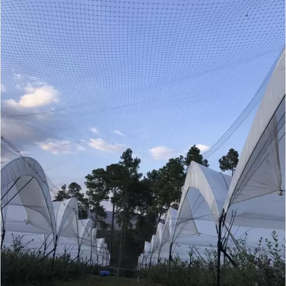 GUACAMALLAS® 1.07m By 1524m BIRD NETTING FOB