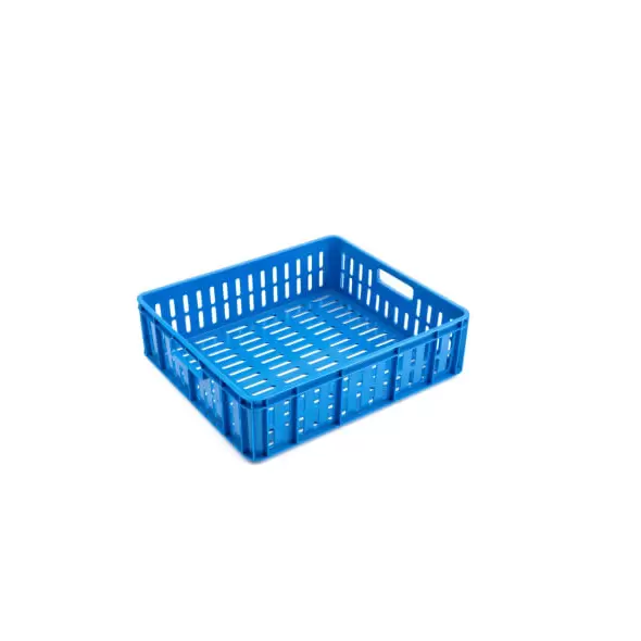 Mushroom Tray