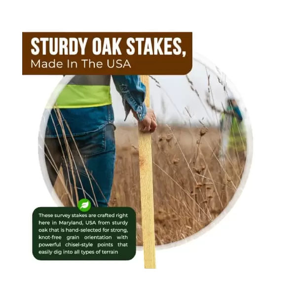 Edrich Lumber Survey Stakes - Pack Of 25