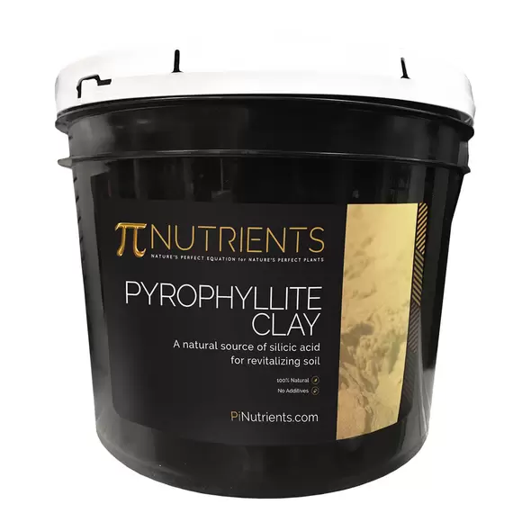 Pyrophyllite Clay – Nutrient-Rich Volcanic Clay