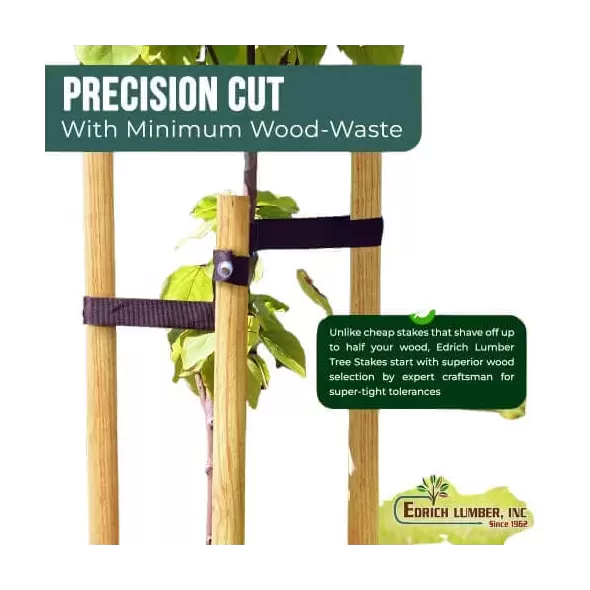 Tree Stakes Edrich Lumber - Pack Of 12