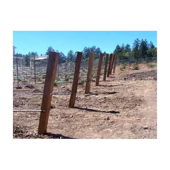 Split Cedar Posts - 4''-5'' By 8''