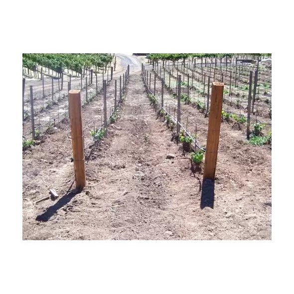 Split Cedar Posts - 4''-5'' By 8''