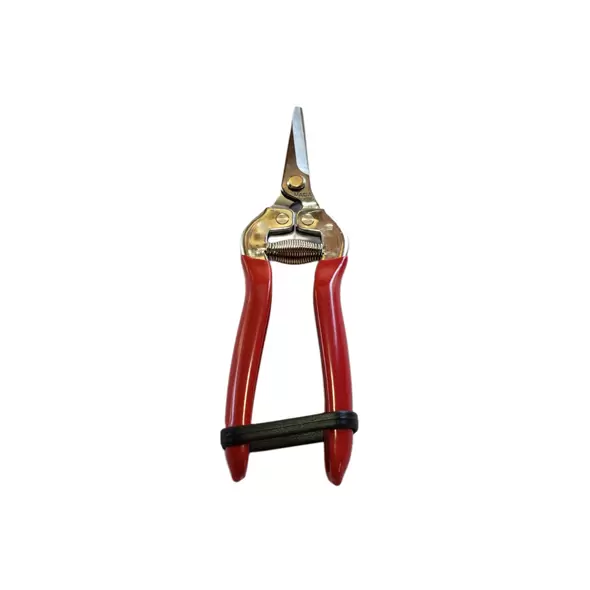 Vaca Straight Stainless Steel Thining Shear