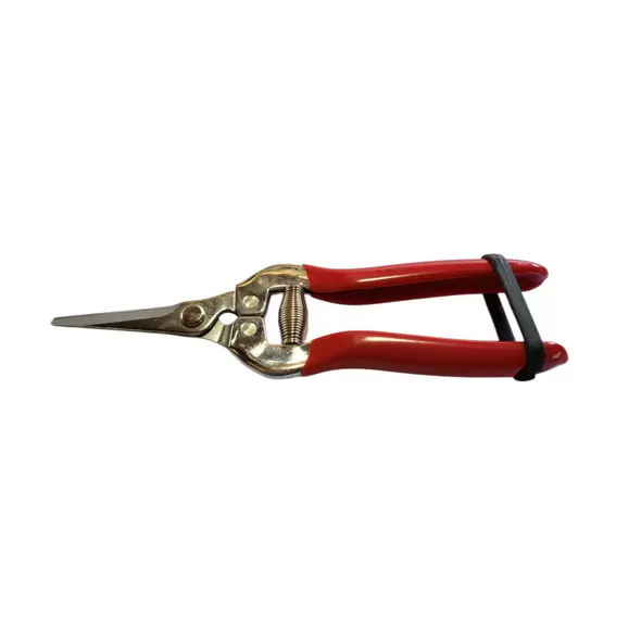 Vaca Straight Stainless Steel Thining Shear