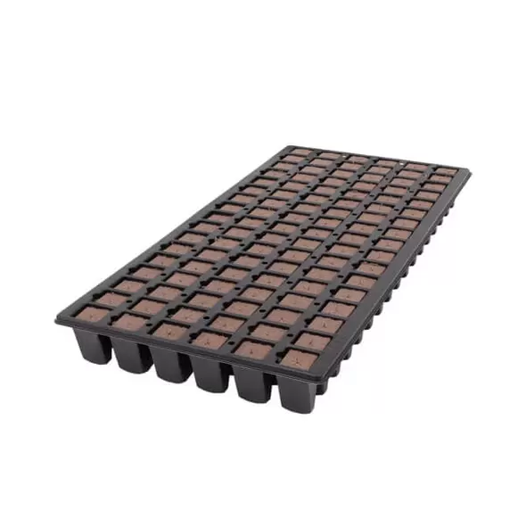 102CT OASIS® Wedge® 10/CS (1020)