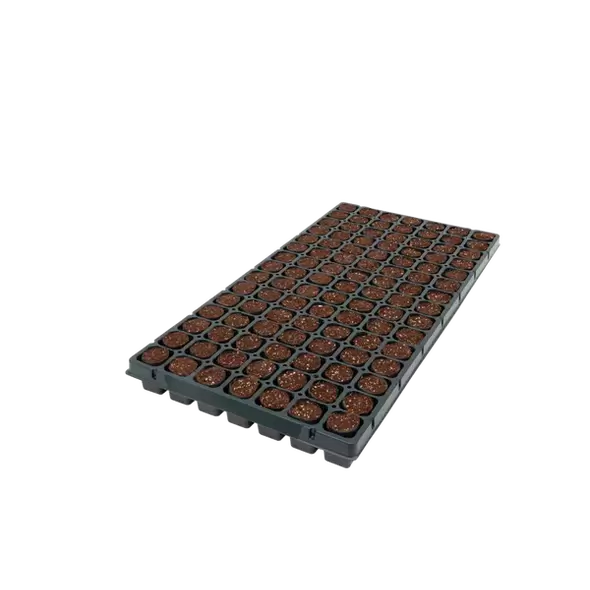 105CT OASIS® Fertiss® PlugTray (30X40mm) 400/PLT (42000)
