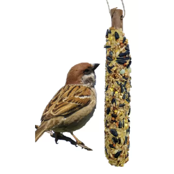 A&E Cage Garden & Fun Backyard Bird Single Seed Stick Multi-Colored