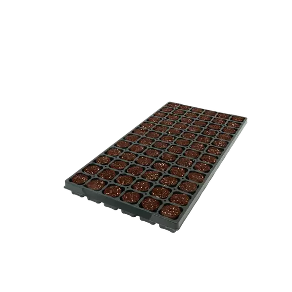 72CT OASIS® Fertiss® PlugTray (32X35mm) 480/PLT (34560)