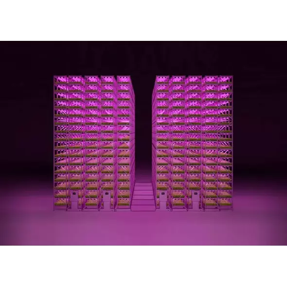 Vertical Farming Systems: High-Density Storage Solutions for Maximizing Space and Yield
