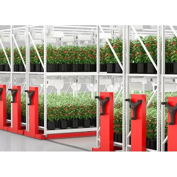 Ag-Tech Vertical Cultivation