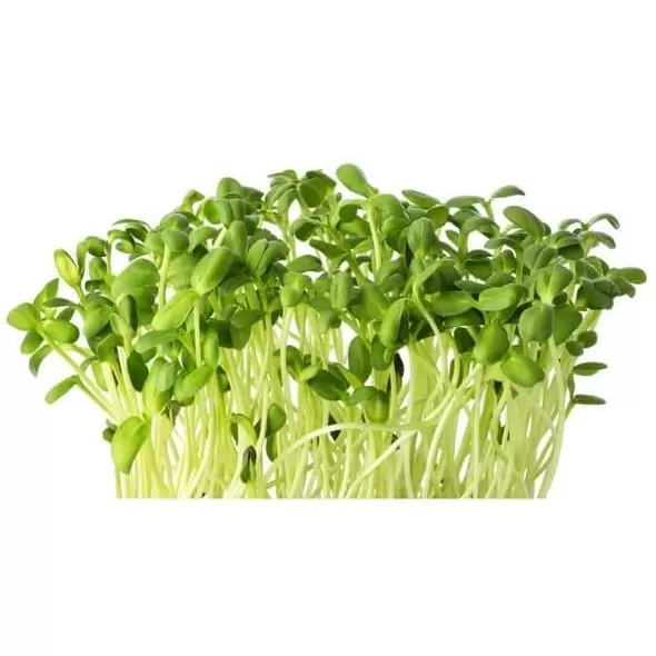 Formulated Plant Food