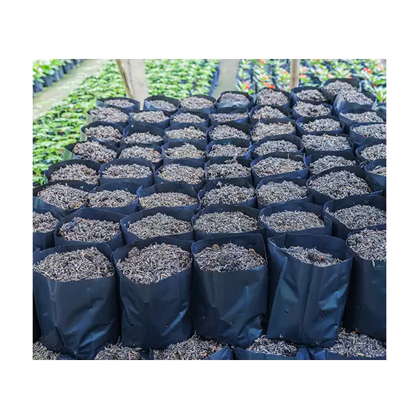 3 Gallon Gro Pro Bags 25/Pack - 20Pack/Case