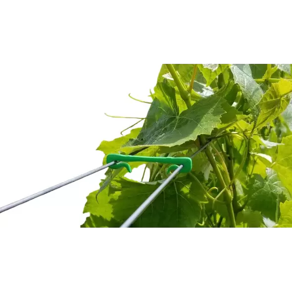 2" Biodegradable Green Clips - 1000 Pcs Per Bag