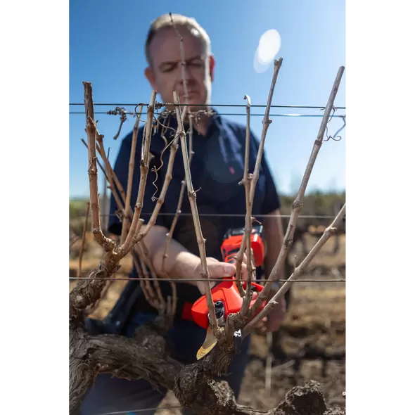 Felco F834 Electric Pruning Shear + Kit