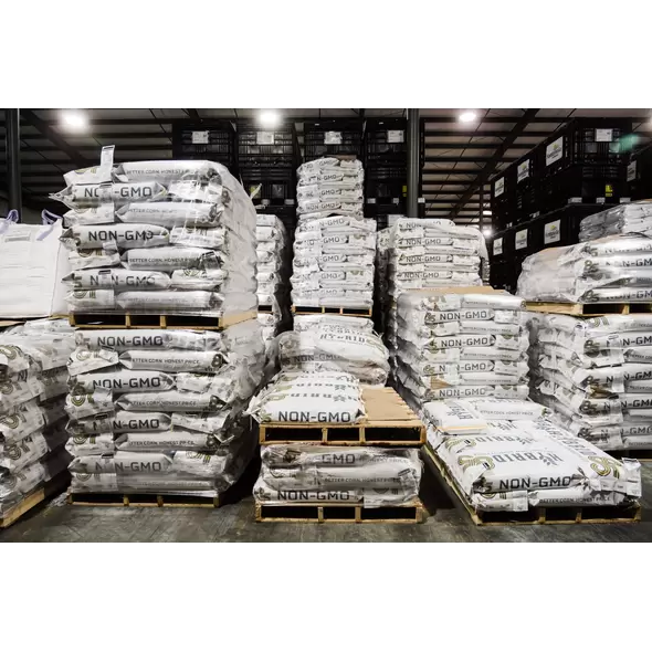 24P17 Corn Seed Hybrid - 55lb Bag