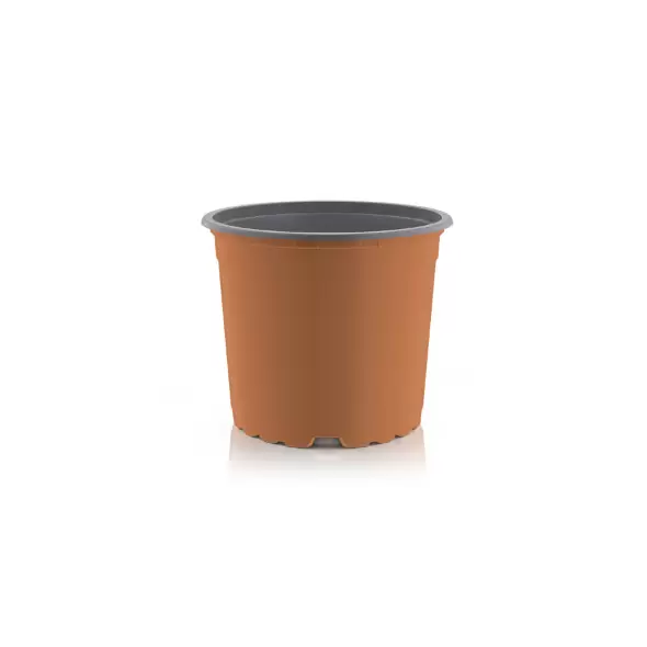 6″ Thermo Azalea Terra Cotta 10206/Plt