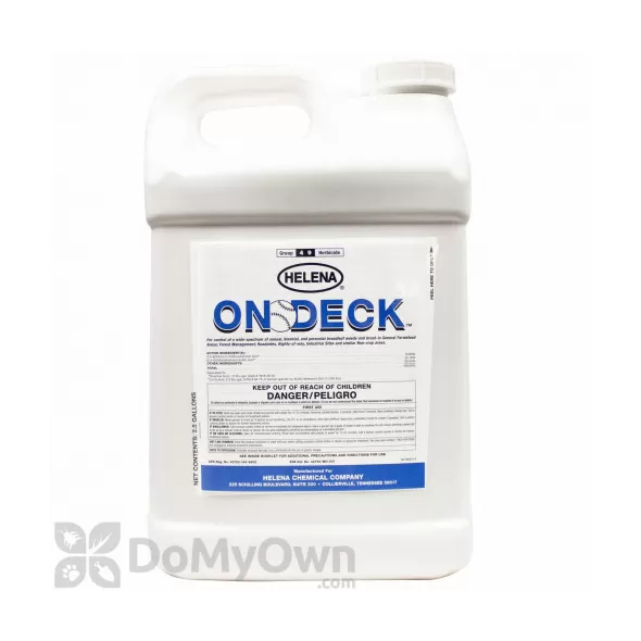 On Deck Icon