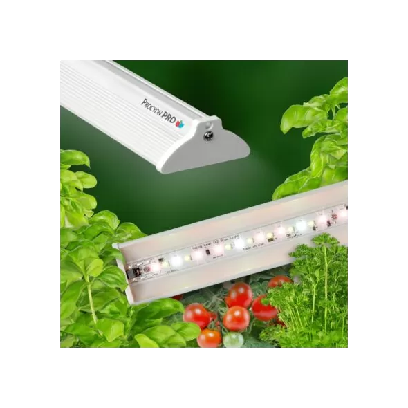 Procyon Pro Light - 33"