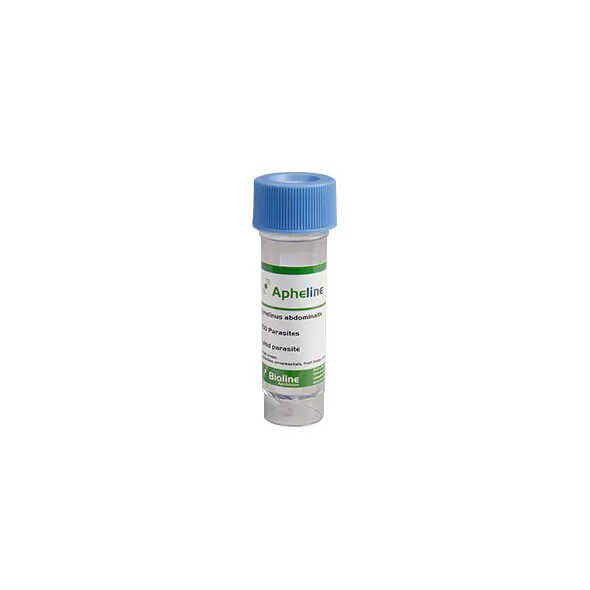 Apheline - Vial - 250 Individuals