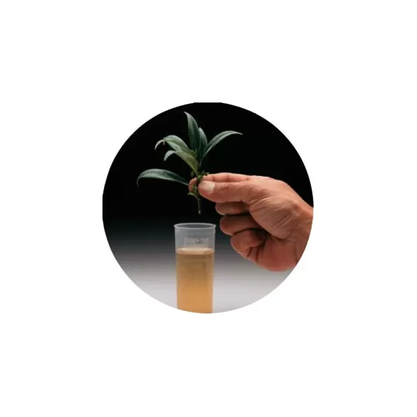 Dip’N Grow 2oz-Rooting Kit (12-pack)