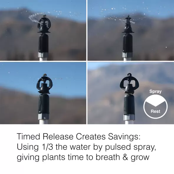 The Pulsator 205 - Small Climate Control