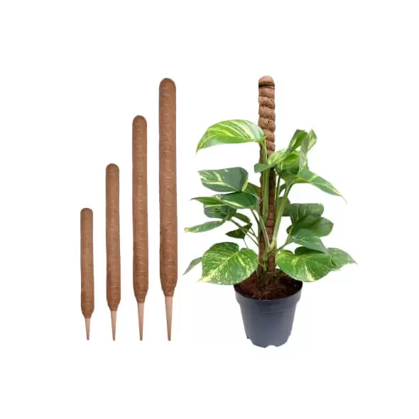 Coco Grow Poles