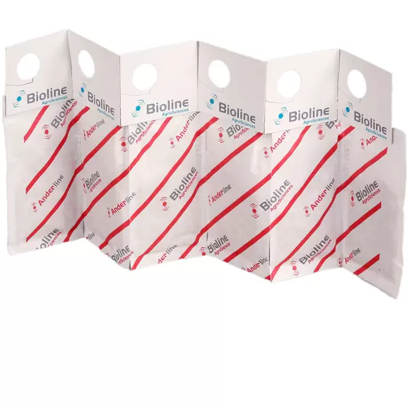 Anderline with Bran - Vermiculite 250000 In Mini Sachet