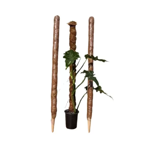 Coco Grow Poles