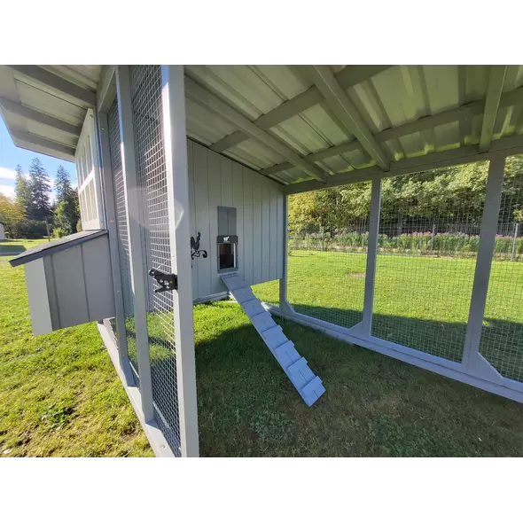 Cluck Cluck Coop House