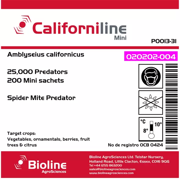 Californiline - 200 Mini Sachet - 25000 Individuals