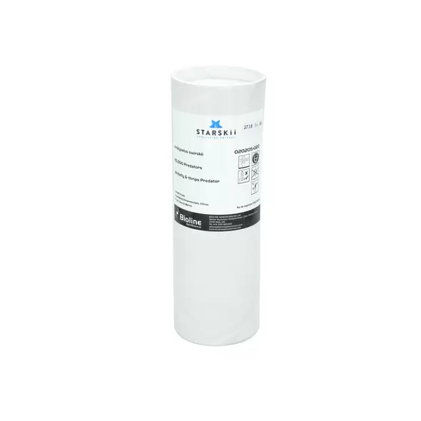 Starskii - 25000 Individuals - Tube