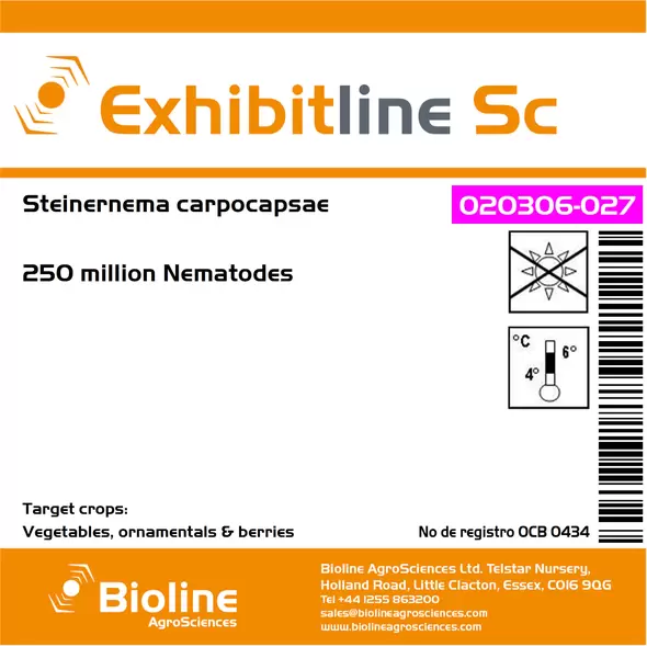 Exhibitline Sc - C - 250 Million Individuals - 1 Bag