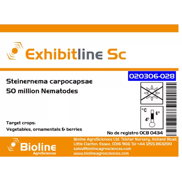 Exhibitline Sc - C - 50 million Individuals - 1 Bag