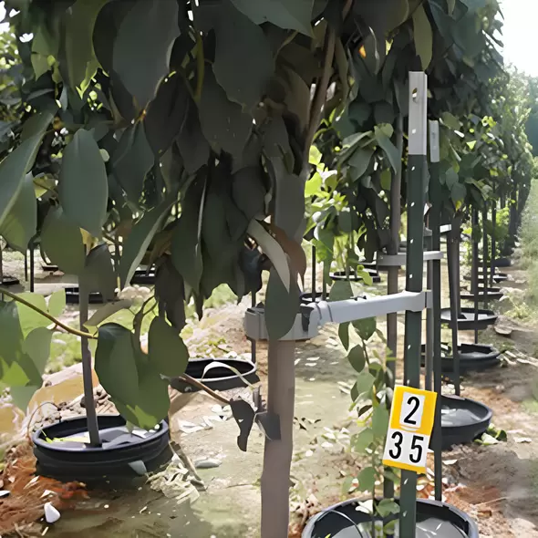 TMO-Pro Telescoping Tree Support And Protection