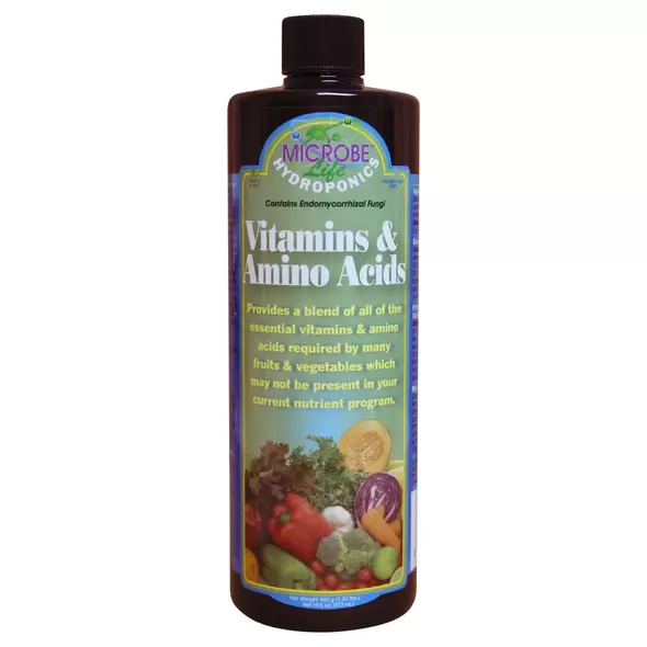 Vitamins And Amino Acids