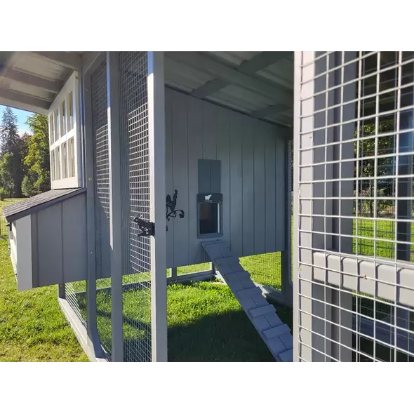 Cluck Cluck Coop House