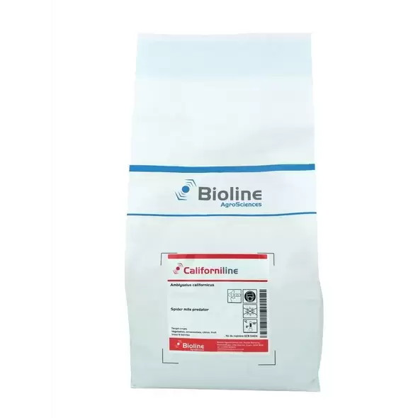 Californiline - 125000 Individuals - 5L Bag