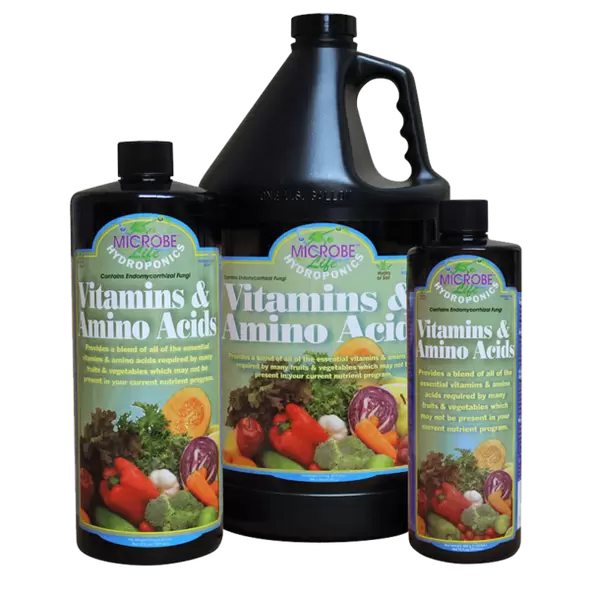 Vitamins And Amino Acids