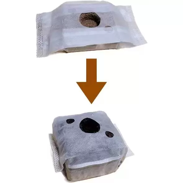 1 Quart Coir Cube
