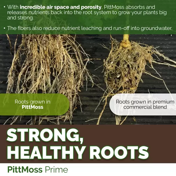 Prime Organic Soil Conditioner