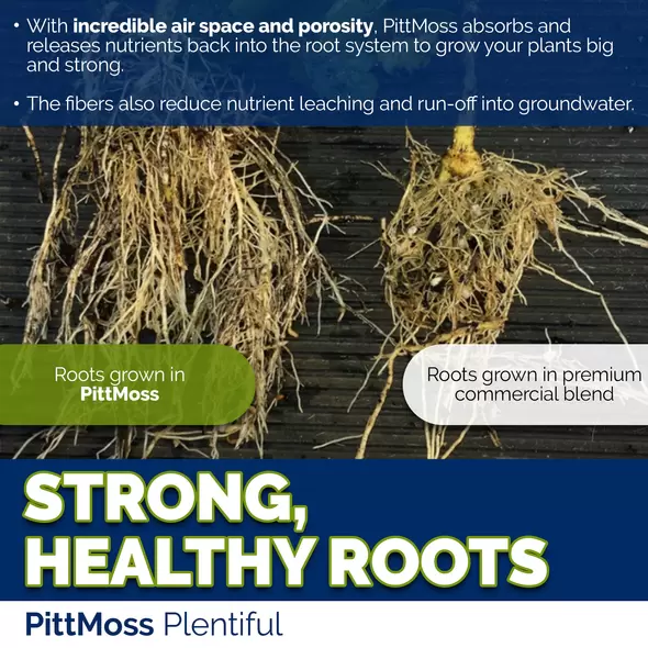 Plentiful Organic Potting Mix