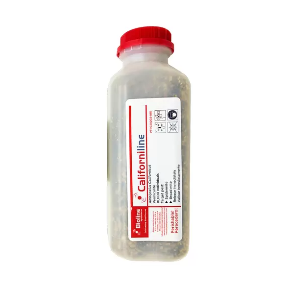 Californiline -Vermiculite - 10000 Individuals - 1/2 Ltr Bottle