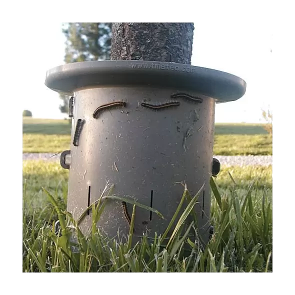 Tree & Plant Guard - Insect & Outdoor Protection for Trees Up To 4"
