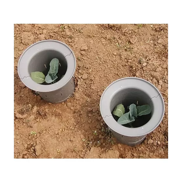 Tree & Plant Guard - Insect & Outdoor Protection for Trees Up To 4"