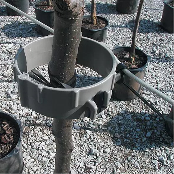 Trellis-Mate - Mounted Tree And Plant Support
