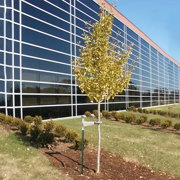 Tree-Mate-O Tree Support & Protection System
