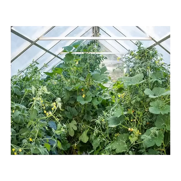 A-Frame Modular Greenhouse - 8' x 12'